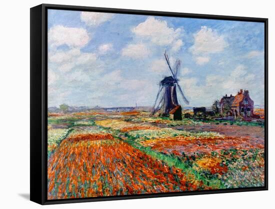 Monet: Tulip Fields, 1886-Claude Monet-Framed Stretched Canvas