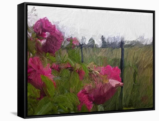 Monet View-Sarah Butcher-Framed Stretched Canvas