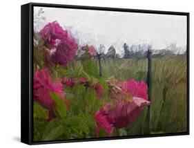 Monet View-Sarah Butcher-Framed Stretched Canvas