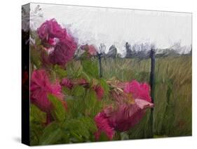 Monet View-Sarah Butcher-Stretched Canvas