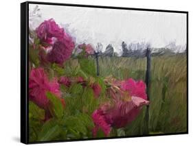 Monet View-Sarah Butcher-Framed Stretched Canvas