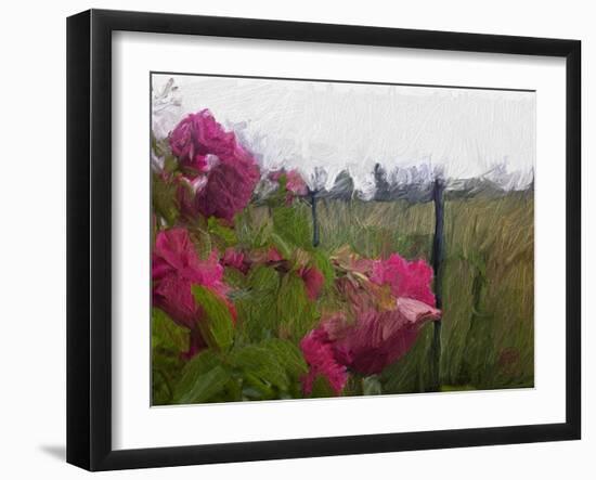 Monet View-Sarah Butcher-Framed Art Print