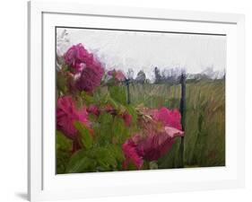 Monet View-Sarah Butcher-Framed Art Print