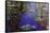 Monet - Water Lilies-Claude Monet-Framed Stretched Canvas