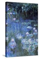 Monet: Waterlilies-Claude Monet-Stretched Canvas
