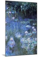 Monet: Waterlilies-Claude Monet-Mounted Giclee Print