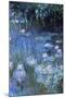 Monet: Waterlilies-Claude Monet-Mounted Giclee Print