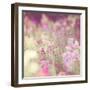 Monet-Myan Soffia-Framed Photographic Print