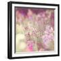 Monet-Myan Soffia-Framed Photographic Print