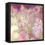 Monet-Myan Soffia-Framed Stretched Canvas