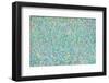 Monets' Colours-Helen Joynson-Framed Photographic Print