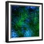 Monets Pool II-Doug Chinnery-Framed Photographic Print