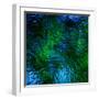 Monets Pool II-Doug Chinnery-Framed Photographic Print