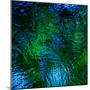 Monets Pool II-Doug Chinnery-Mounted Photographic Print