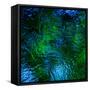 Monets Pool II-Doug Chinnery-Framed Stretched Canvas