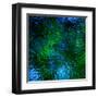 Monets Pool II-Doug Chinnery-Framed Premium Photographic Print