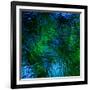 Monets Pool II-Doug Chinnery-Framed Photographic Print