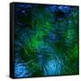 Monets Pool II-Doug Chinnery-Framed Stretched Canvas