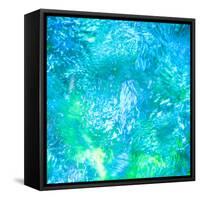 Monets Pool III-Doug Chinnery-Framed Stretched Canvas