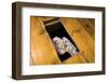 Money Beneath the Floorboards-Charles Bowman-Framed Photographic Print