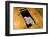 Money Beneath the Floorboards-Charles Bowman-Framed Photographic Print