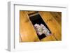 Money Beneath the Floorboards-Charles Bowman-Framed Photographic Print