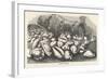 Money-Cowries-J.g. Wood's-Framed Art Print