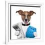 Money Dog-Javier Brosch-Framed Photographic Print