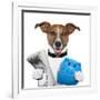 Money Dog-Javier Brosch-Framed Photographic Print