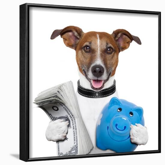 Money Dog-Javier Brosch-Framed Photographic Print