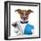 Money Dog-Javier Brosch-Framed Photographic Print