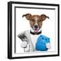 Money Dog-Javier Brosch-Framed Photographic Print