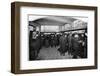 Money Exchange Department, Thmas Cook & Son, Ludgate Circus, City of London, c1903-Unknown-Framed Photographic Print