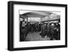 Money Exchange Department, Thmas Cook & Son, Ludgate Circus, City of London, c1903-Unknown-Framed Photographic Print