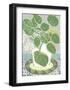 Money Plant-Zoe Badger-Framed Giclee Print