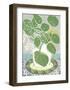 Money Plant-Zoe Badger-Framed Giclee Print