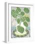 Money Plant-Zoe Badger-Framed Giclee Print