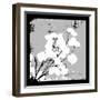 Money Plant-Herb Dickinson-Framed Photographic Print