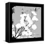 Money Plant-Herb Dickinson-Framed Stretched Canvas