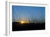 Mongolia, Central Asia, Camp in the Steppe Scenery of Gurvanbulag, Hills, Sundown-Udo Bernhart-Framed Photographic Print