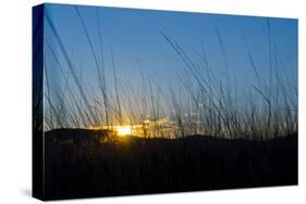 Mongolia, Central Asia, Camp in the Steppe Scenery of Gurvanbulag, Hills, Sundown-Udo Bernhart-Stretched Canvas