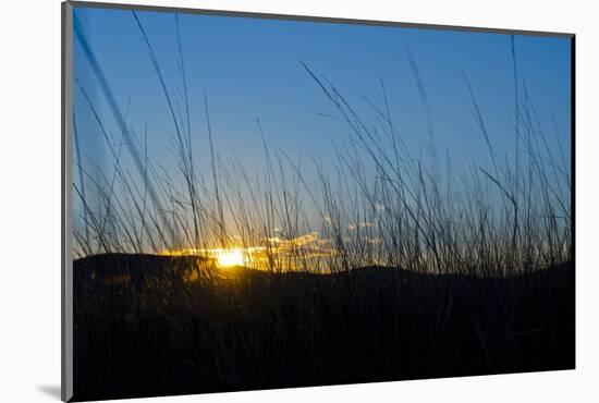 Mongolia, Central Asia, Camp in the Steppe Scenery of Gurvanbulag, Hills, Sundown-Udo Bernhart-Mounted Photographic Print