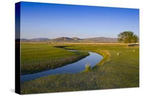 Mongolia, Central Asia, Camp in the Steppe Scenery of Gurvanbulag, River-Udo Bernhart-Stretched Canvas