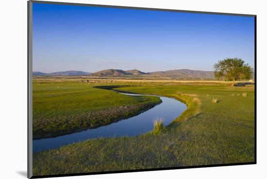 Mongolia, Central Asia, Camp in the Steppe Scenery of Gurvanbulag, River-Udo Bernhart-Mounted Photographic Print