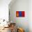 Mongolia Flag Design with Wood Patterning - Flags of the World Series-Philippe Hugonnard-Art Print displayed on a wall