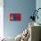 Mongolia Flag Design with Wood Patterning - Flags of the World Series-Philippe Hugonnard-Stretched Canvas displayed on a wall