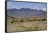 Mongolia, Khovd Province, Altan Hokhii, Mountains, High Desert Valley, Landscape and Terrain-Emily Wilson-Framed Stretched Canvas