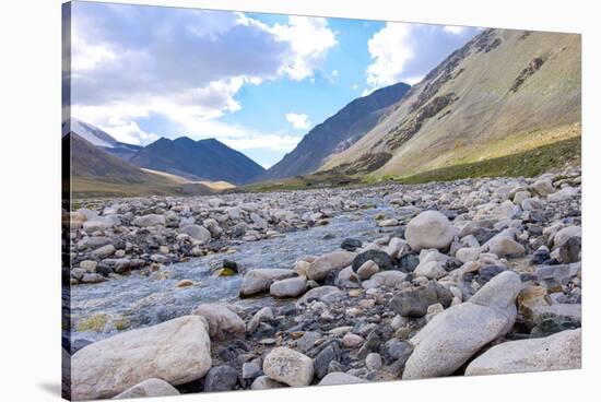 Mongolia, Khovd Province, Gashuun Suhayt. River Valley-Emily Wilson-Stretched Canvas