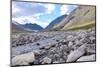 Mongolia, Khovd Province, Gashuun Suhayt. River Valley-Emily Wilson-Mounted Photographic Print