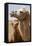 Mongolia, Lake Tolbo, Bactrian Camels-Emily Wilson-Framed Stretched Canvas